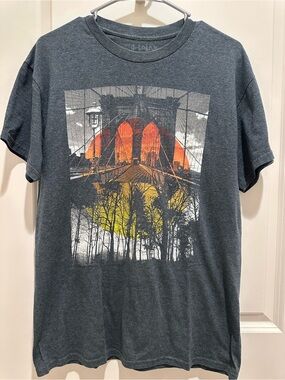 Hawk Men's Gray Graphic Print Crew Neck Short Sleeve Jersey Knit T-Shirt, M